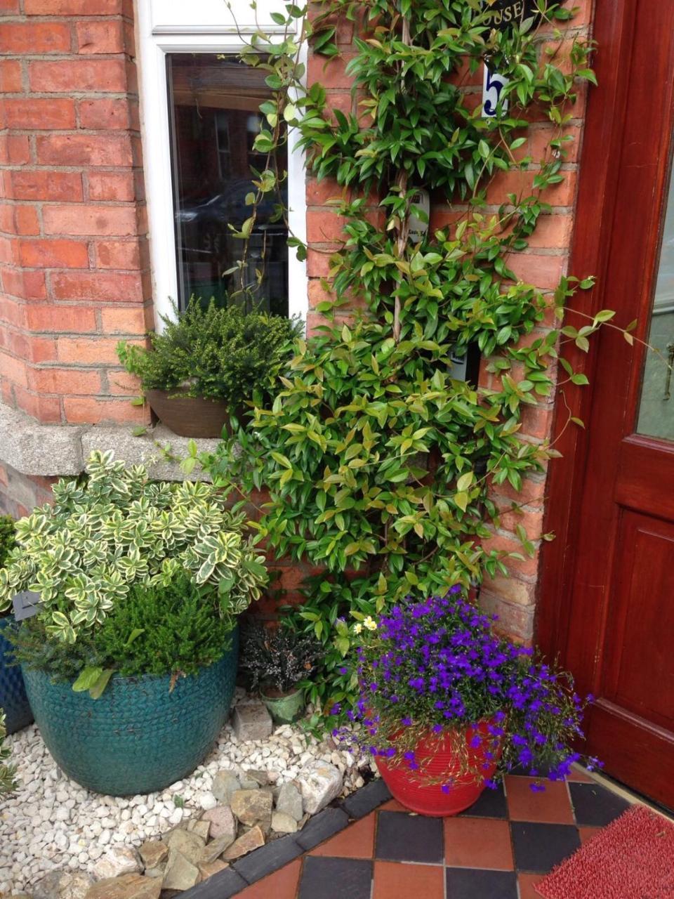Acara House B&B Dublin Eksteriør billede